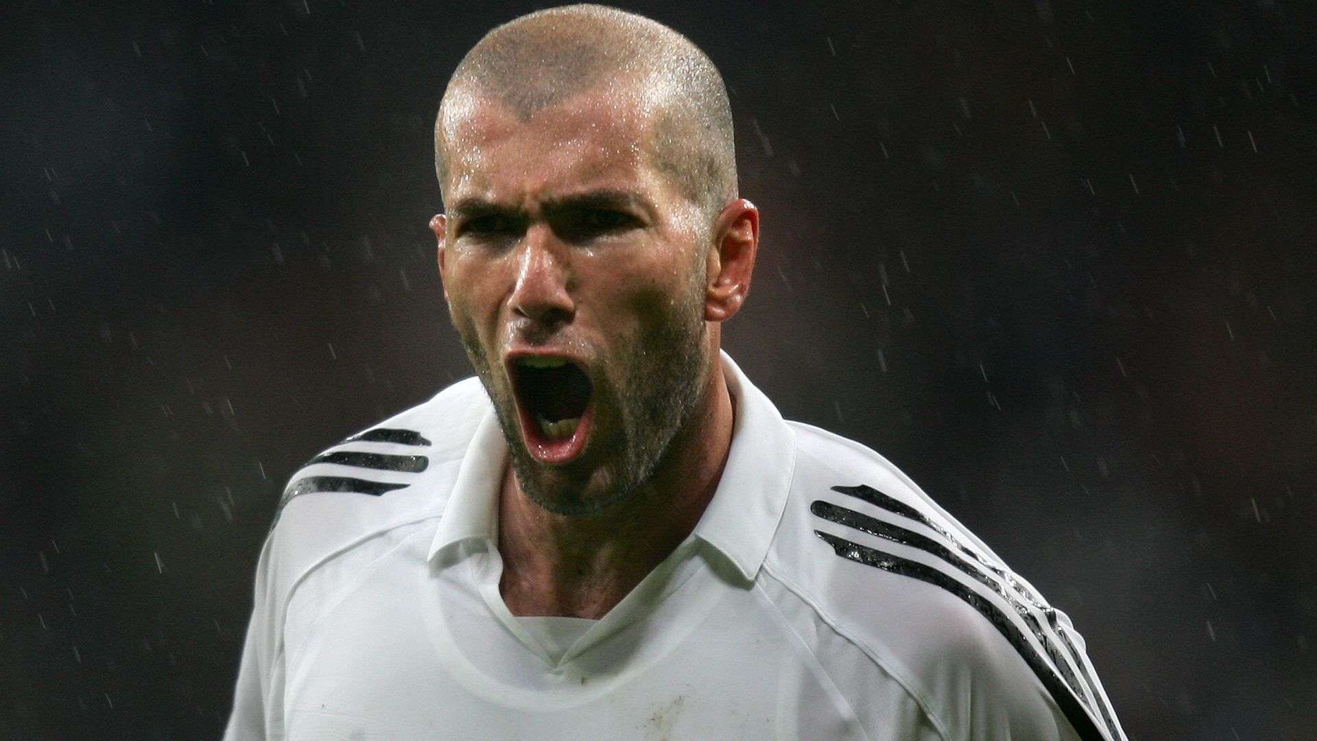 球迷互动 球迷互动