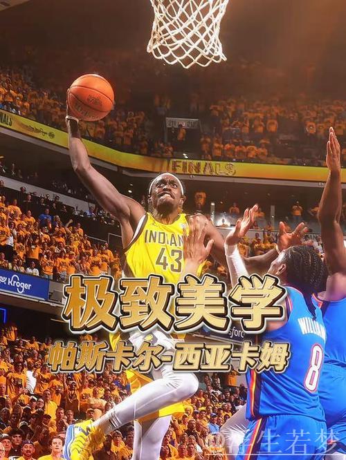 西亚卡姆一对一制胜跳投战胜亚历山大 西亚卡姆一对一制胜跳投战胜亚历山大